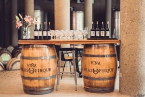 Privat vintur i Maipo-dalen