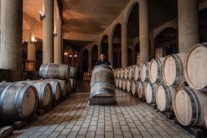 Privat vintur i Maipo-dalen