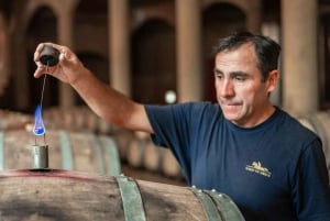 Privat vintur i Maipo-dalen