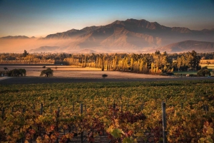 Privat vintur i Maipo-dalen