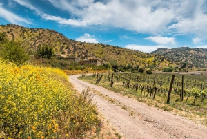 Privat vintur i Maipo-dalen