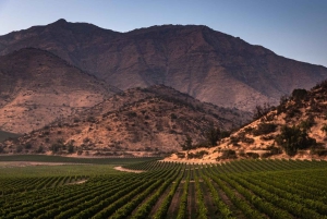 Privat vintur i Maipo-dalen