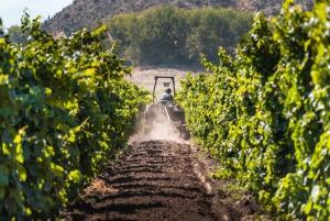 Privat vintur i Maipo-dalen