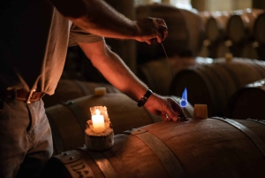 Privat vintur i Maipo-dalen