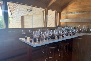 Privat vintur i Maipo-dalen