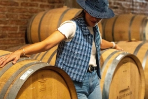 Privat vintur i Maipo-dalen