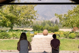 Privat vintur i Maipo-dalen