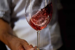 Privat vintur i Maipo-dalen