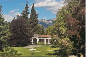 Privat vintur Marques de Casa Concha Concha