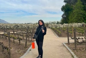 Privat vintur Marques de Casa Concha Concha