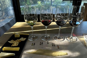 Privat vintur Marques de Casa Concha Concha