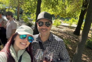 Privat vintur Marques de Casa Concha Concha