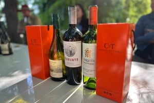 Privat vintur Marques de Casa Concha Concha