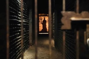 Privat vintur Marques de Casa Concha Concha