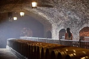 Privat vintur Marques de Casa Concha Concha