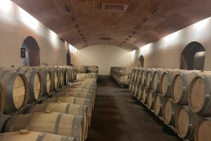 Privat vintur Marques de Casa Concha Concha