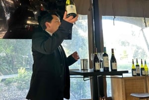 Privat vintur Marques de Casa Concha Concha