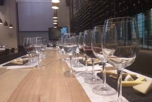 Privat vintur Marques de Casa Concha Concha