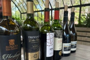 Privat vintur Marques de Casa Concha Concha