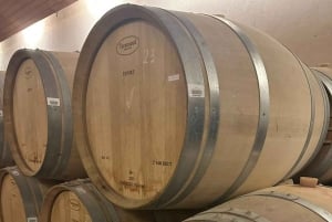 Privat vintur Marques de Casa Concha Concha