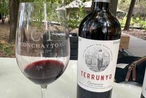 Privat vintur Marques de Casa Concha Concha