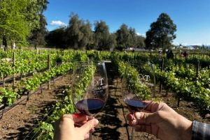 Privat vintur Marques de Casa Concha Concha