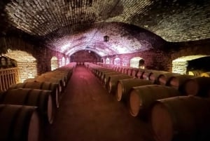 Privat vintur Marques de Casa Concha Concha