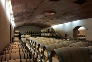 Privat vintur Marques de Casa Concha Concha