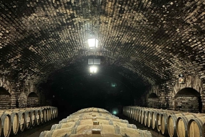 Privat vintur Marques de Casa Concha Concha