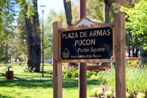 Pucón og Villarrica: Guidet tur med henting på hotellet