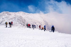 Pucón: Ascent to Villarrica Volcano