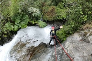 Pucón: Canyoning in Correntoso River