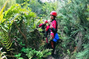 Pucón: Canyoning on the Correntoso River with Expert Guides