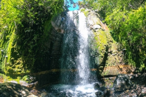 Pucón: Canyoning on the Correntoso River with Expert Guides