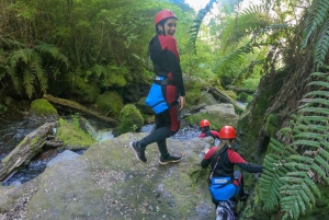 Pucón: Canyoning on the Correntoso River with Expert Guides