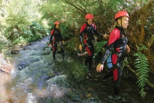 Pucón: Canyoning on the Correntoso River with Expert Guides