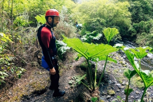 Pucón: Canyoning on the Correntoso River with Expert Guides