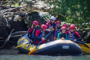 Pucón: Family Rafting Adventure on the Trancura Bajo River, Moderate Level