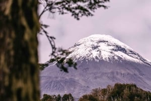 Pucon: Full-Day Villarrica National Park Hike