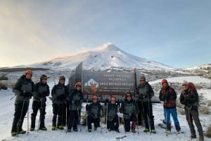 Pucón: Excursión de un día al Volcán Villarrica