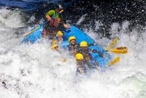 Pucón: Rafting på floden Trancura Alto för erfarna äventyrare