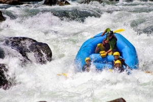 Pucón: Rafting på floden Trancura Alto för erfarna äventyrare