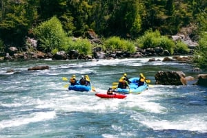 Pucón: Rafting på floden Trancura Alto för erfarna äventyrare