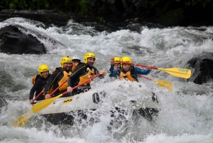 Pucón: Rafting on the Trancura Low River (Class III Rapids)