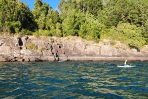 Pucon: Stand up Paddle trip on the Villarrica Lake