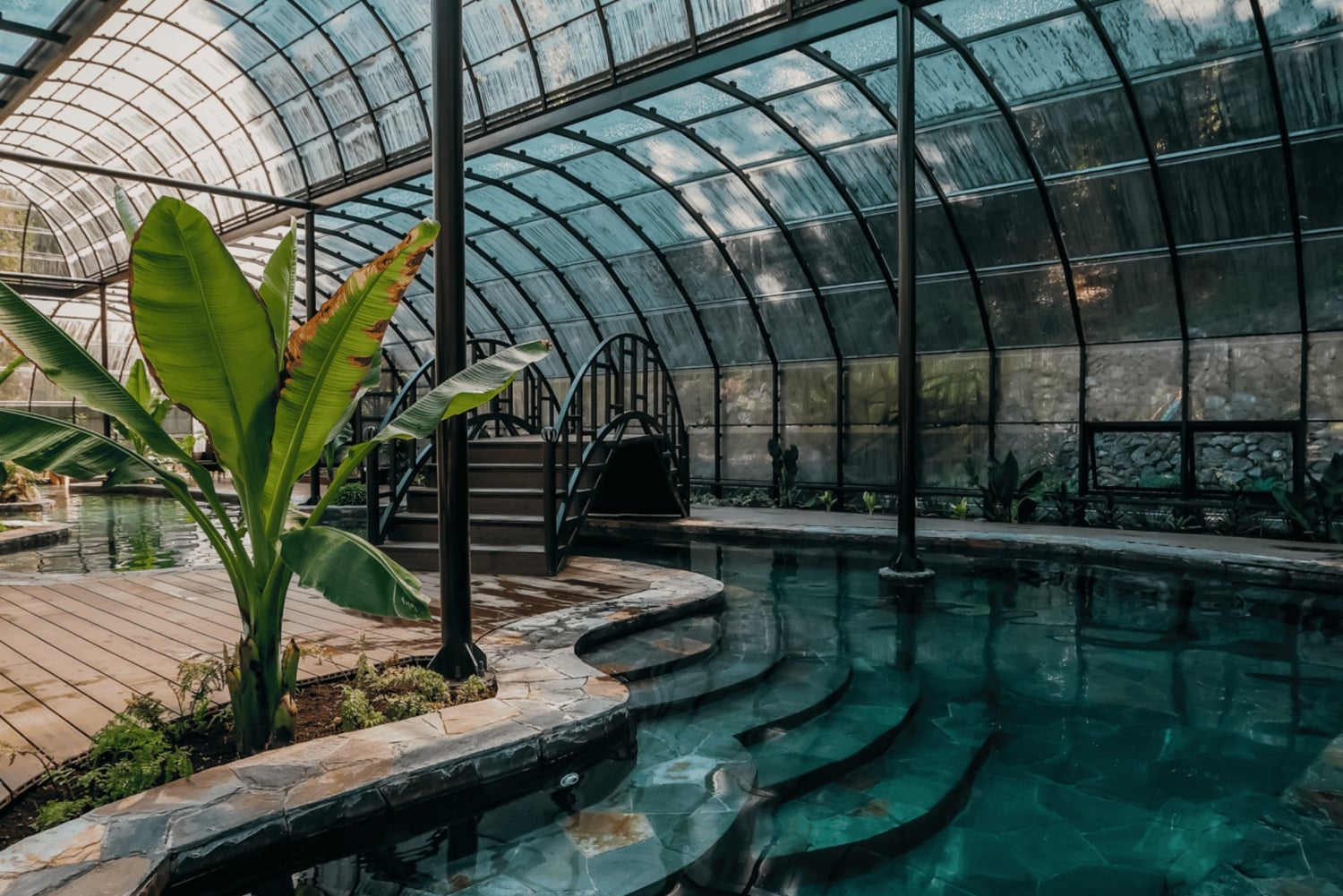 Pucón: Parque Termal e Botânico com transporte e entradas