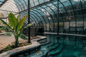 Pucón: Thermal and Botanical Park with transportation and admission