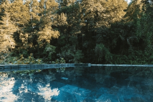 Pucón: Thermal and Botanical Park with transportation and admission