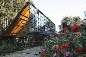 Pucón: Thermal and Botanical Park with transportation and admission