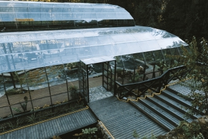 Pucón: Thermal and Botanical Park with transportation and admission